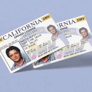 Marty McFly ID CARD, Back to the Future, Michael J Fox, License, Prop Mc FLY