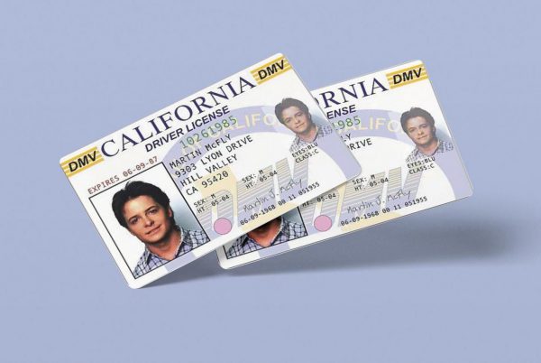 Marty McFly ID CARD, Back to the Future, Michael J Fox, License, Prop Mc FLY